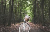 anwb camping