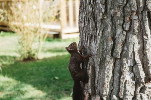L&apos; Hippocampe-Roompot-Vroegboekkorting
