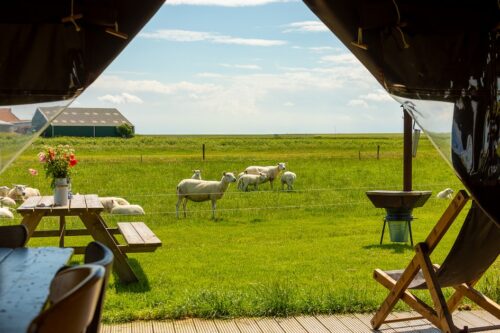 Boerderij Ameland-Roompot-Vroegboekkorting