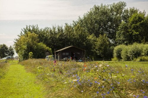 Hoeve Waterschap-Roompot-Vroegboekkorting