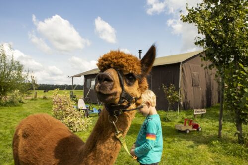 Hoeve de Betuwe-Roompot-Vroegboekkorting