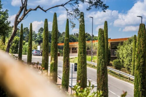 Camping Norcenni Girasole-Roompot-Vroegboekkorting