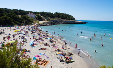 Camping Pascalounet-Allcampss-Vroegboekkorting