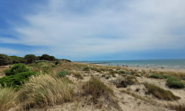 Camping La Tamarissière-Allcampss-Vroegboekkorting