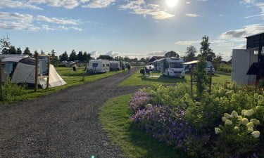 Camping de Veenhoop-Allcampss-Vroegboekkorting