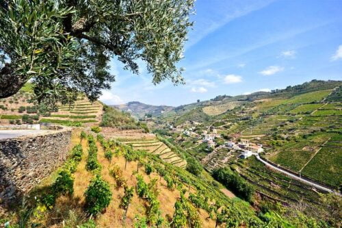 Portugal & Costa Verdeacsi-reizen-Vroegboekkorting