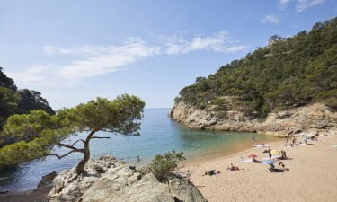 Camping Pola Giverola-Allcampss-Vroegboekkorting