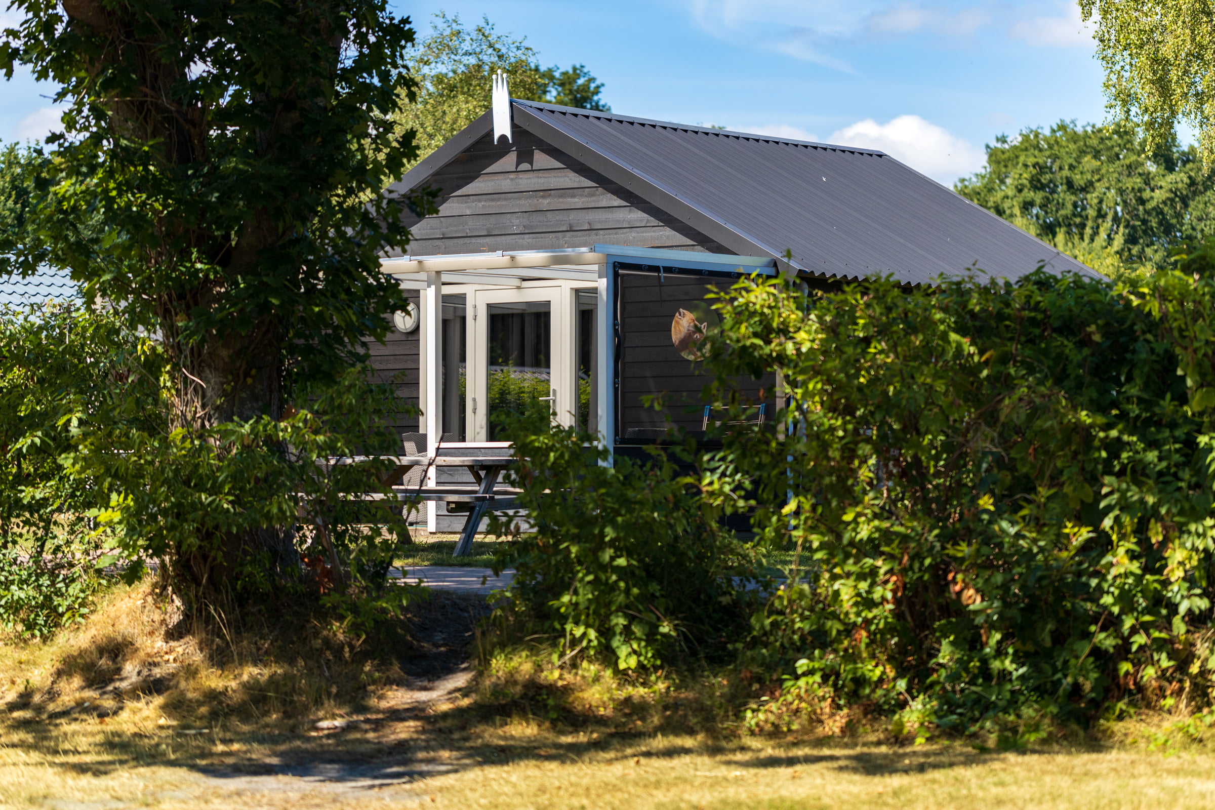 Vossenlodge 5 persoons - huisdier-de-vossenburcht-Vroegboekkorting