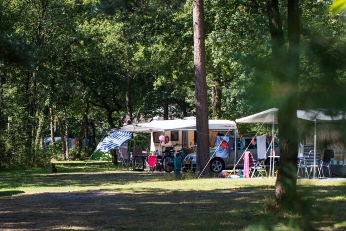 Bosplaats-de-vossenburcht-Vroegboekkorting