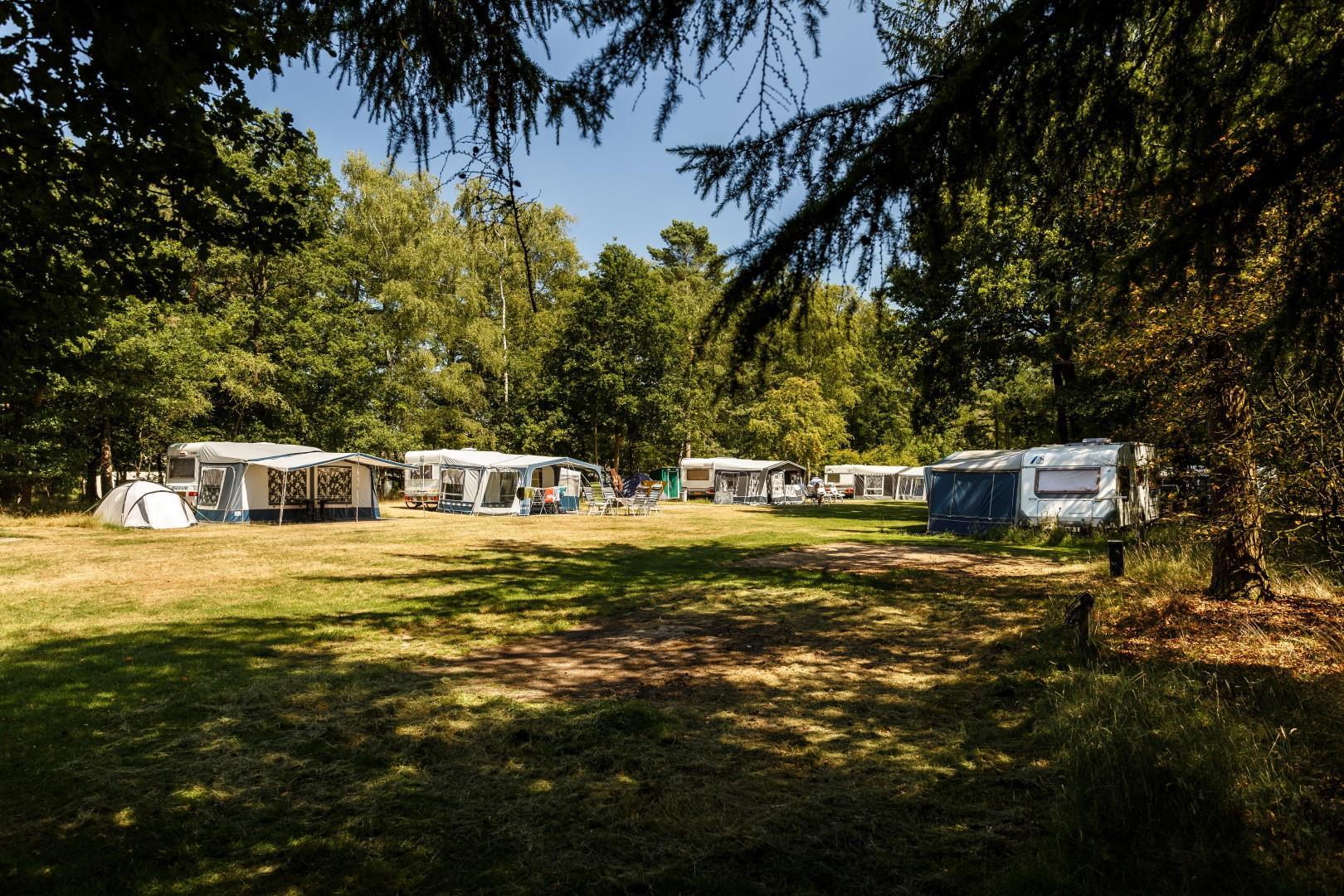 Rcn Vakantiepark De Flaasbloem-ANWB-Campings-Vroegboekkorting