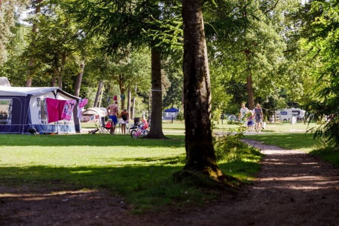 Rcn Vakantiepark Het Grote Bos-ANWB-Campings-Vroegboekkorting