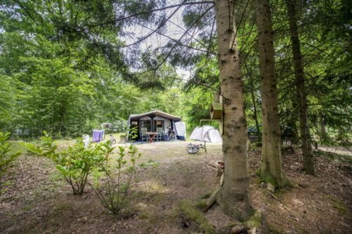 Rcn Vakantiepark De Noordster-ANWB-Campings-Vroegboekkorting