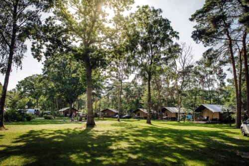Camping Beringerzand-ANWB-Campings-Vroegboekkorting