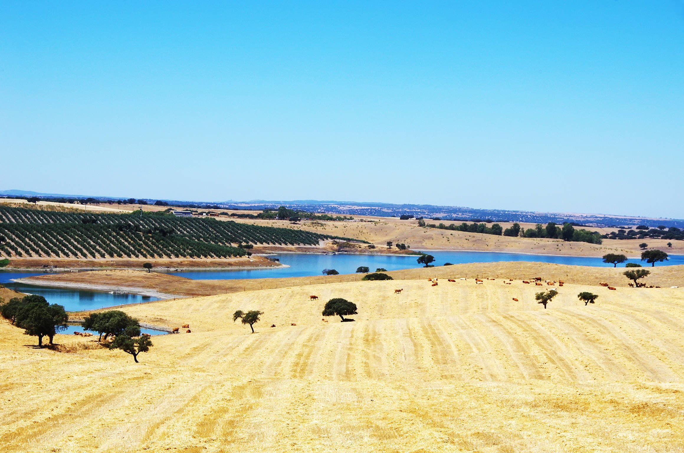Algarve