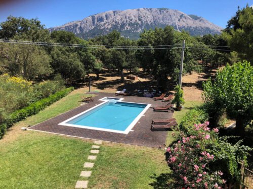 Fattoria Mongerratedejongintra-Vroegboekkorting