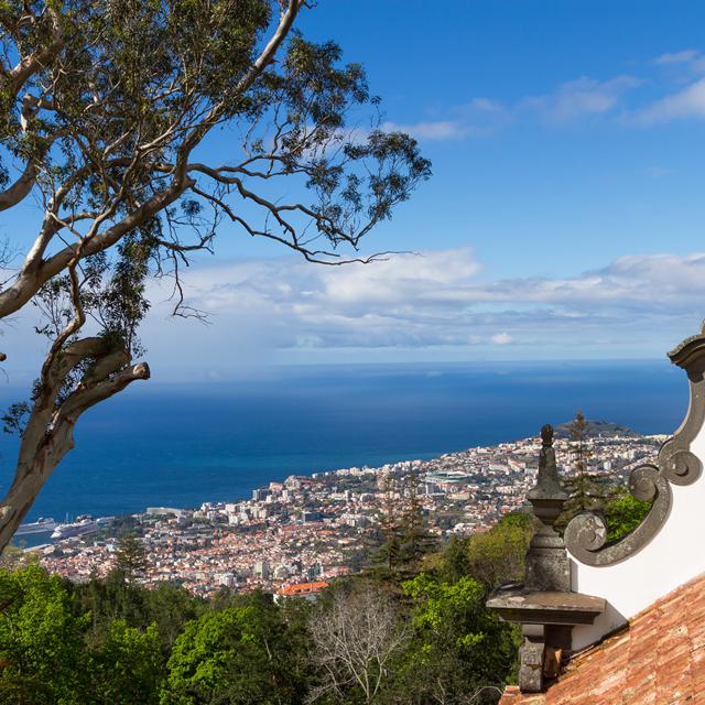 Fly & Drive Madeira - Valley & Coastal Drive - inclusief huurauto-Primavera-Vroegboekkorting