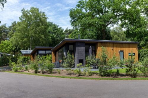 Bos Lodge 55 Eco 4 personen met Hottub-berkenrhode-Vroegboekkorting