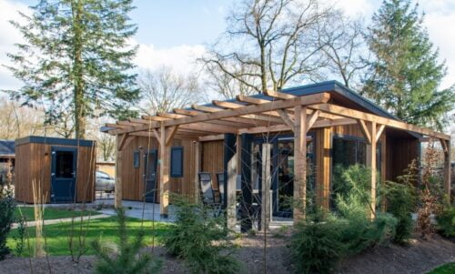 Heide Lodge Eco 4 personen met Wellness-berkenrhode-Vroegboekkorting