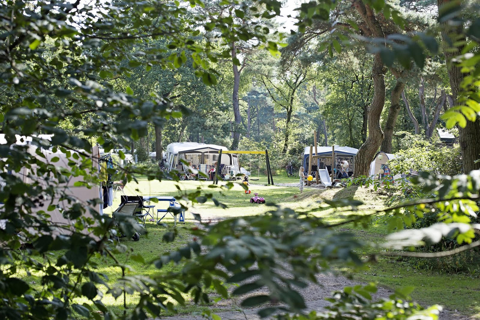 Comfortplaats met huisdier-de-beerze-bulten-Vroegboekkorting