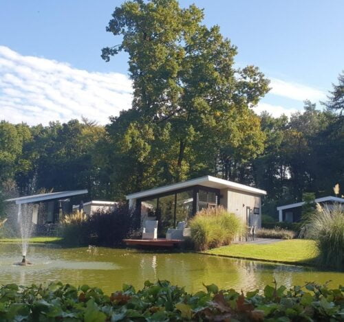 Bos Lodge 55 4 personen met Jacuzzi-berkenrhode-Vroegboekkorting