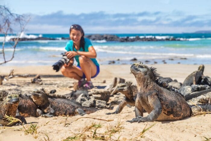 Singlereis Actief Ecuador & Galapagos-fox-Vroegboekkorting