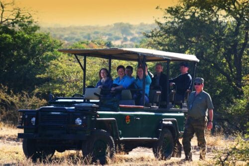 Singlereis Zinderend Zuid-Afrika-fox-Vroegboekkorting