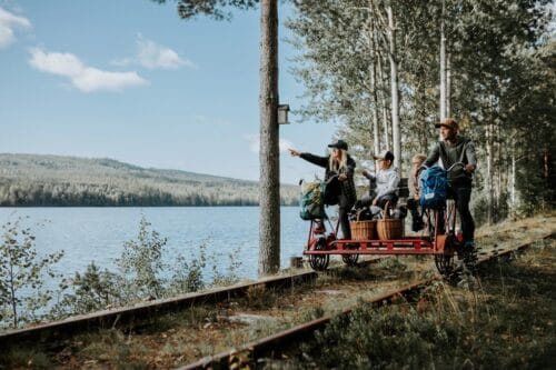 Familiereis actief in Zweden-fox-Vroegboekkorting