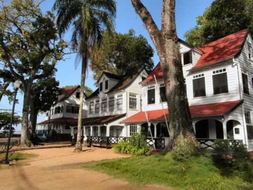 Groepsreis Surinaamse Schatten-fox-Vroegboekkorting