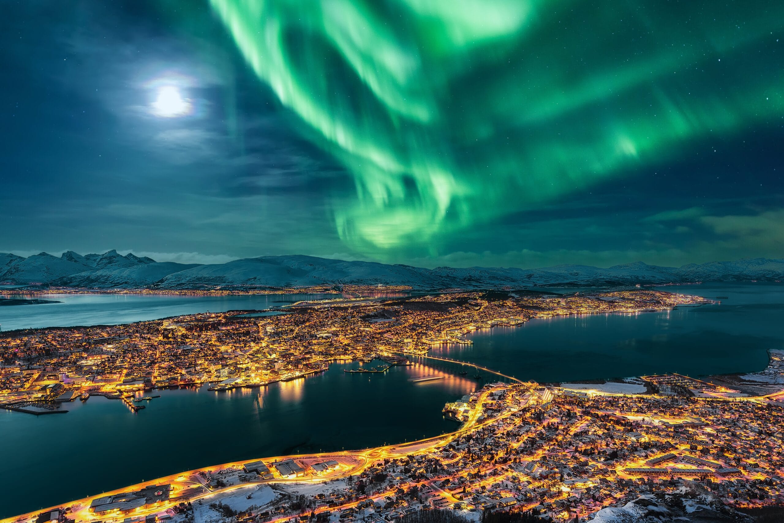 Winterreis Noorwegen - Tromsø-fox-Vroegboekkorting