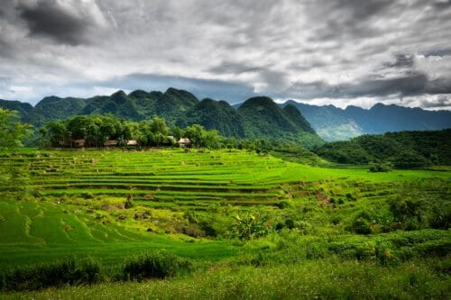 Groepsreis Good Morning Vietnam-fox-Vroegboekkorting