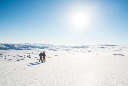 Winterreis Noorwegen - Geilo-fox-Vroegboekkorting