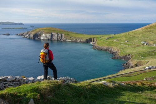 Fly-drive Op roadtrip door Zuidwest-Ierland in B&B's-fox-Vroegboekkorting
