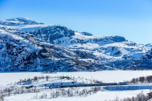 Treinreis Winters Noorwegen - Een spoor van fjorden en bergen-fox-Vroegboekkorting