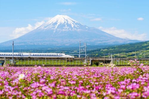 Groepsreis Dromen van Japan-fox-Vroegboekkorting